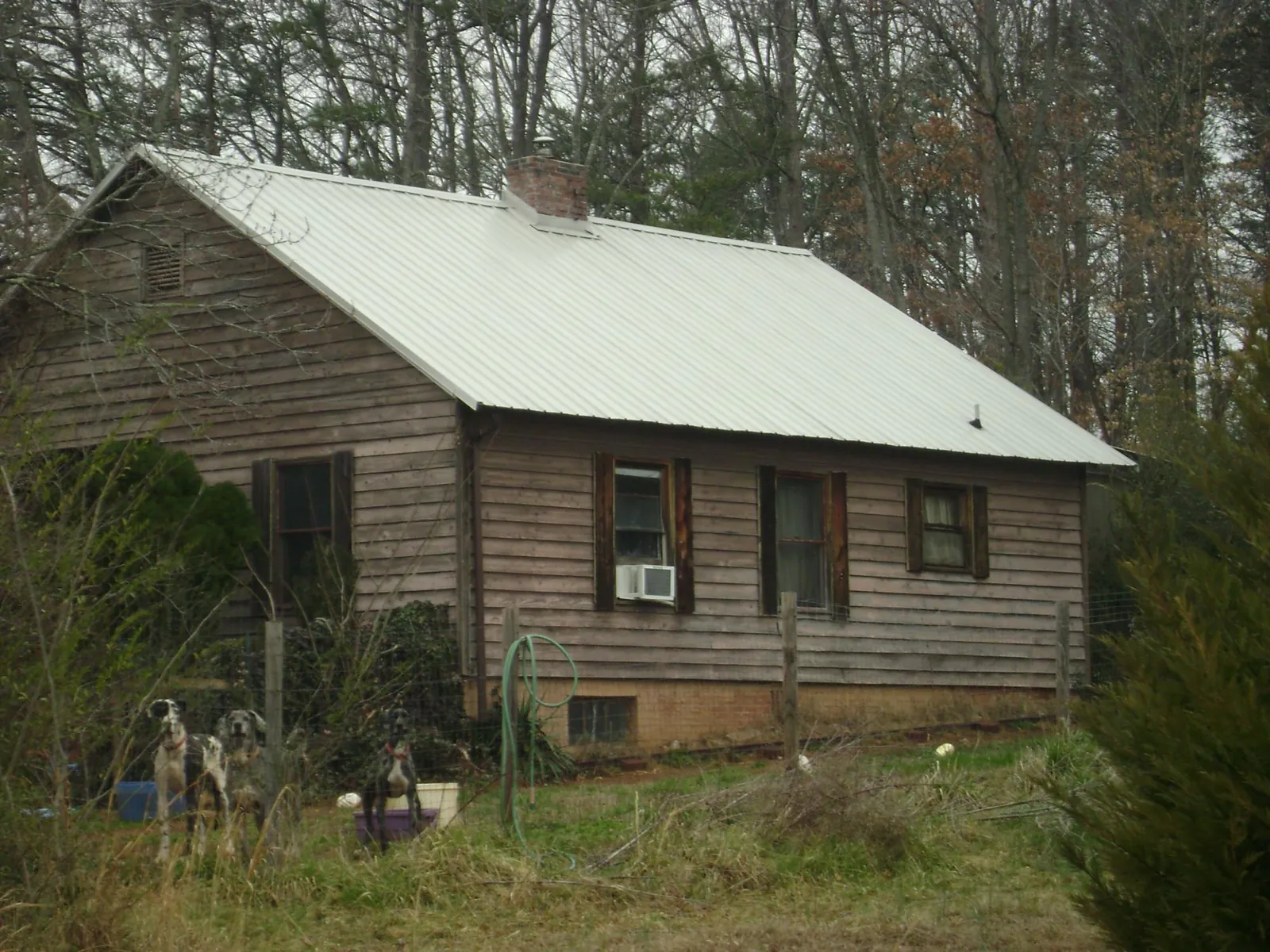 White metal roof on an old wood sided farmhouse, from a Asphalt Shingle Roof Repair job in Sheldon